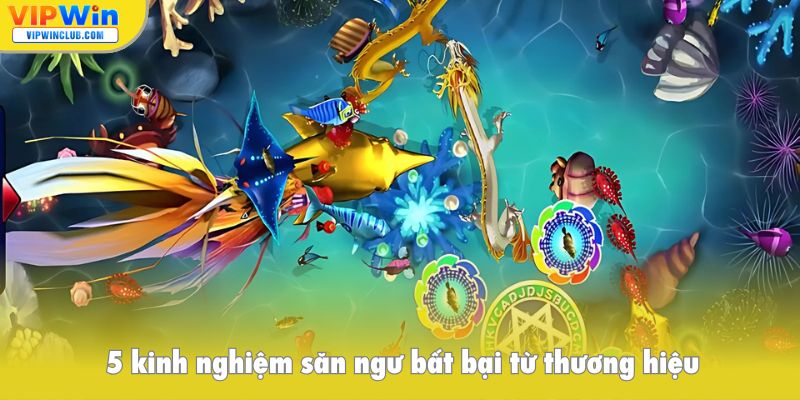 5 kinh nghiệm săn ngư bất bại từ thương hiệu