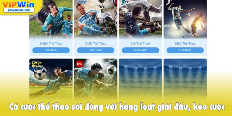 Cá cược thể thao sôi động với hàng loạt giải đấu, kèo cược