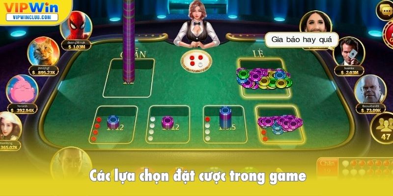 Các lựa chọn đặt cược trong game