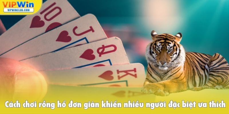 Cách chơi rồng hổ đơn giản khiến nhiều người đặc biệt ưa thích