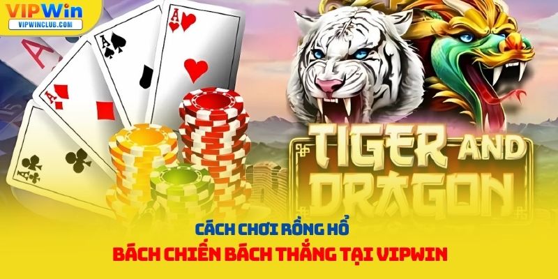 cách chơi rồng hổ