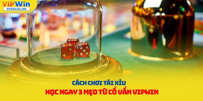 cách chơi tài xỉu