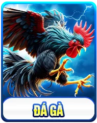 đá gà