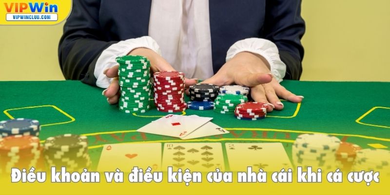 Điều khoản và điều kiện của nhà cái khi cá cược