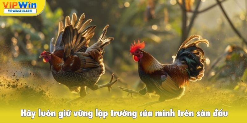 Hãy luôn giữ vững lập trường của mình trên sàn đấu