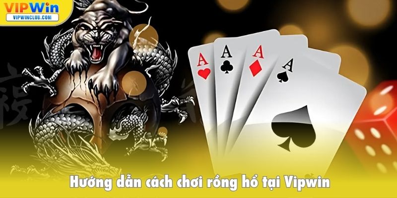 Hướng dẫn cách chơi rồng hổ tại Vipwin