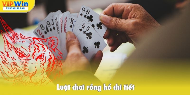 Luật chơi rồng hổ chi tiết