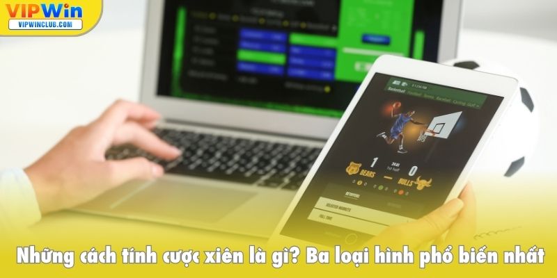 Những cách tính cược xiên là gì, ba loại hình phổ biến nhất