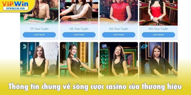 Thông tin chung về sòng cược casino của thương hiệu