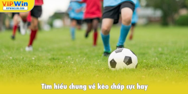 Tìm hiểu chung về kèo chấp cực hay